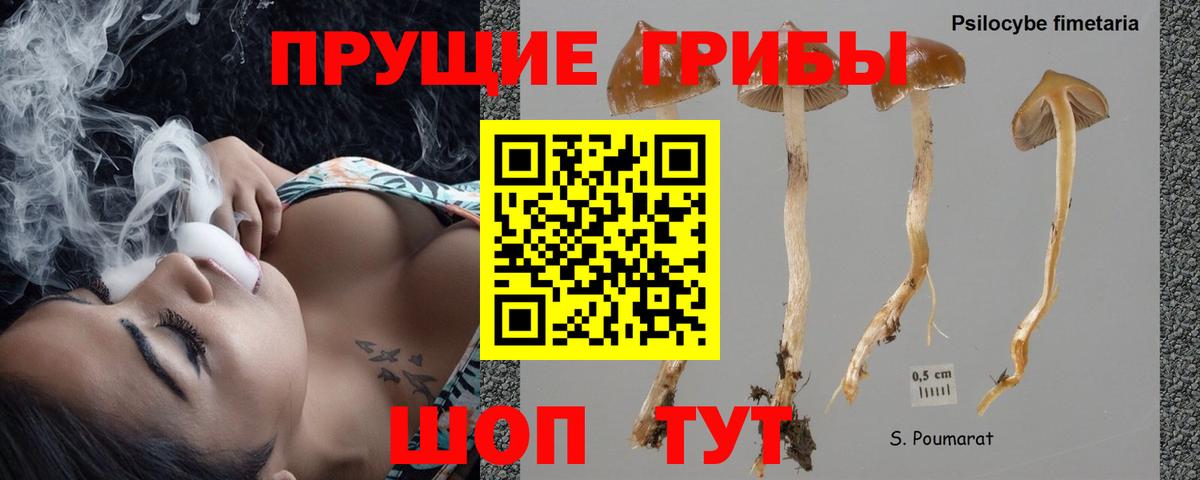 Псилоцибиновые грибы прущие грибы Гусев